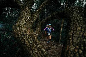 BIB: 
                            <button type="button" onclick="openModal(25699280)" class="btn btn-primary btn-sm float-right btn-popup" data-toggle="modal" data-target=".modal-high-quality">
                        <i class="fas fa-shopping-cart"></i> Add to Cart
                    </button>
                                            <button type="button" onclick="isThisMe(25699280, true)" class="btn btn-success btn-sm float-right btn-popup btn-isme hidden" data-toggle="tooltip" data-placement="bottom" title="นี่คือรูปของคุณใช่ไหม คลิกที่นี่เพื่อเอาเข้าอัลบั้ม">
                        <i class="fas fa-plus"></i> Add to album
                    </button>
                    <button type="button" onclick="isThisMe(25699280, false)" class="btn btn-warning btn-sm float-right btn-popup btn-isnotme hidden">
                        <i class="fas fa-ban"></i> Remove from album
                    </button>